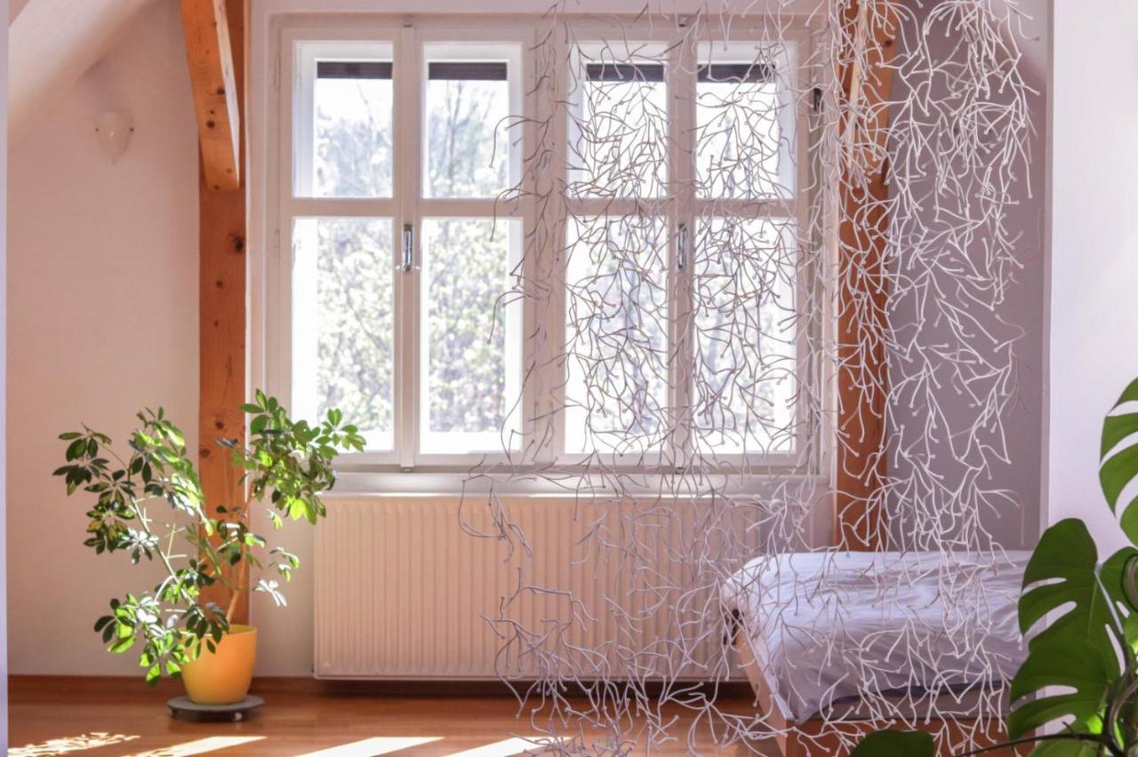 Apartment In The Heart Of Bled With Views エクステリア 写真